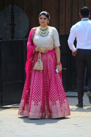 Actress Sonam Kapoor Wedding