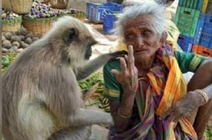 Monkey photo goes viral on Social Media