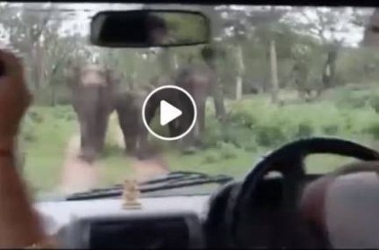 Video from Bandipur forest area elephants is chasing the tourist