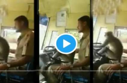 Viral video of a KSRTC bus driver driving with a Monkey