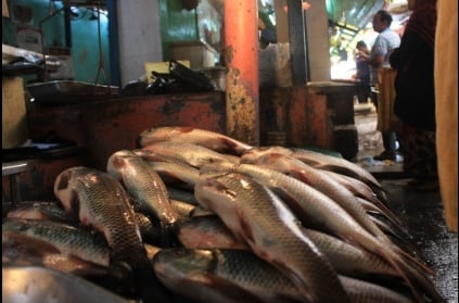 Annual fishing ban begins; fish prices set to skyrocket