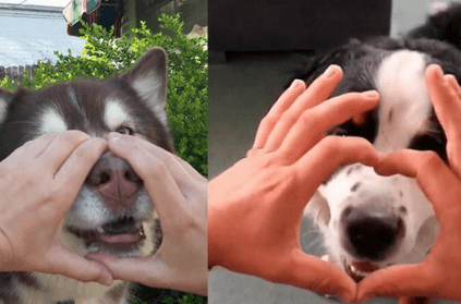After Kiki And Momo Challenge, The Internet Has Got A New Craze After Kiki And Momo Challenge, The Internet Has Got A New Craze