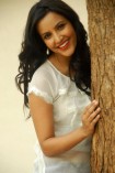 Priya Anand (aka) Actress Priya Anand