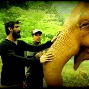 Rana Daggubati Kaadan intense making video ft Vishnu Vishal Rana Daggubati Kaadan intense making video ft Vishnu Vishal