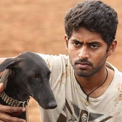 Pariyerum Perumal TV rights bagged by this channel!