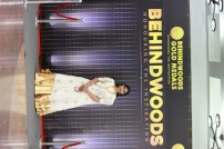 Behindwoods Gold Medals - Iconic Edition - The Red Carpet